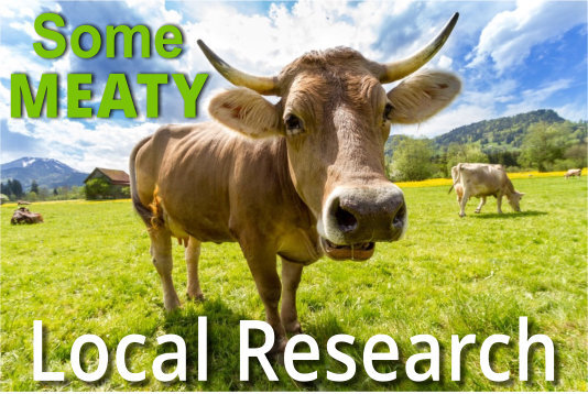 MeatyResearch.jpg