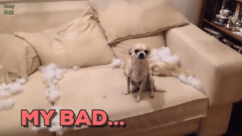giphy (4).jpg