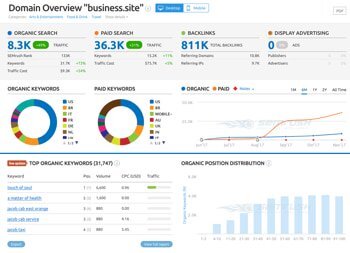 semrush-business-site-domain-overview.jpg