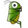 grasshoppersean